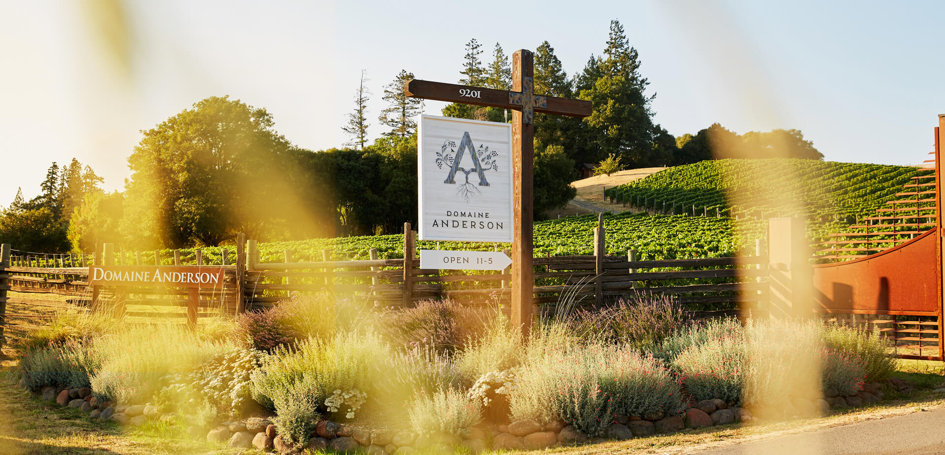 Entrance to Domaine Anderson Winery highlighted by a sign, photographed through tall grass.
