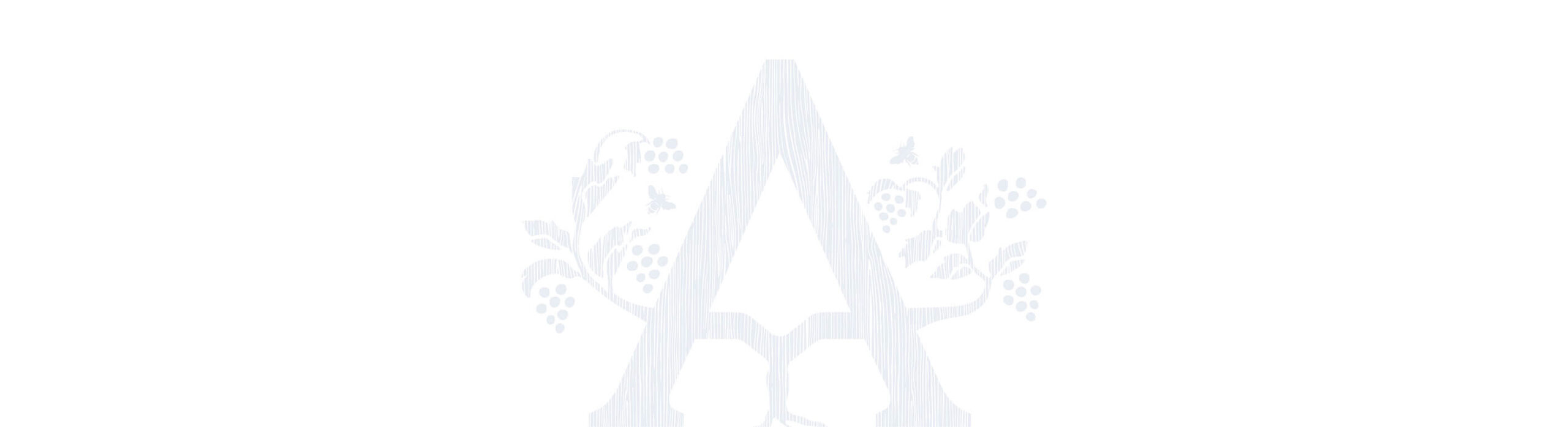 Domain Anderson A logo in pale blue as a background.