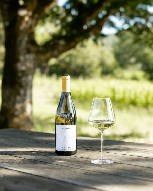 Explore the flavors of our 2020 Dach Vineyard Chardonnay through the senses of @winehussy in @wine_spectator: "Fragrant accents of honeysuckle and orange blossoms meet a drizzle of wildflower honey, while the vibrant acidity keeps this white's flavors pure and mouthwatering."

Have you tried this 93 Point Chardonnay, yet? #DomaineAnderson