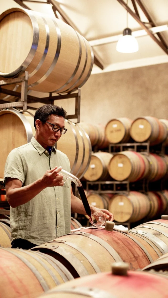 Hand-picked, gently pressed, and aged to perfection in French oak. Our meticulous winemaking process ensures every bottle of Pinot Noir and Chardonnay captures the essence of Anderson Valley. Discover the artistry in every sip at the link in our bio. #DomaineAnderson