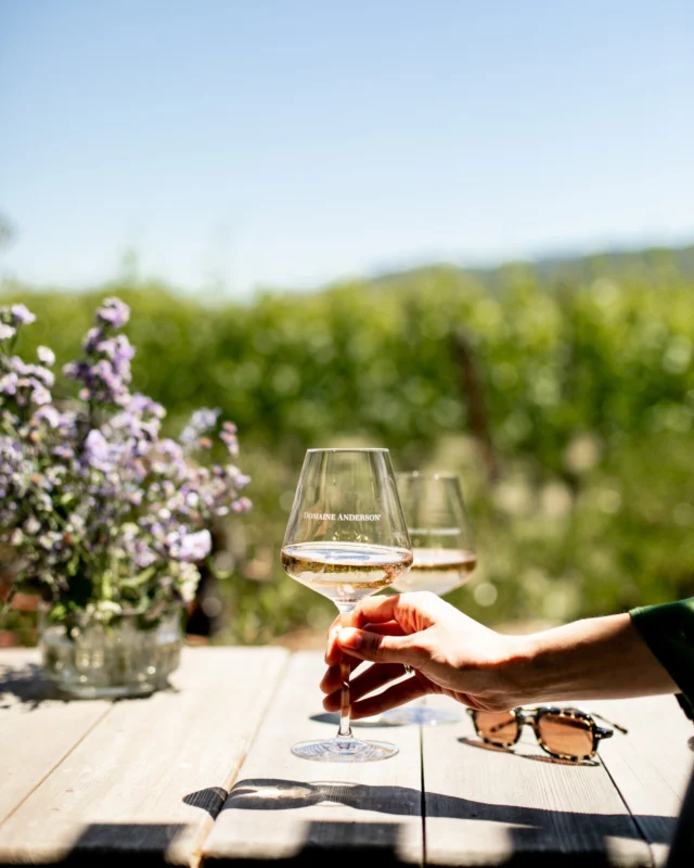 Crisp, vibrant, and bursting with flavor, our 2023 Rosé of Pinot Noir is the ideal companion for these lingering warm days. A subtle medley of fresh strawberry, nectarine, and tangerine unfold to offer a truly delightful tasting experience.

Come experience the vibrancy of Anderson Valley firsthand at our tasting room. Walk-ins are more than welcome! #DomaineAnderson